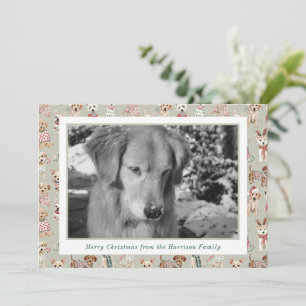 Cartão De Festividades Fotos de Cães de Natal Adoráveis