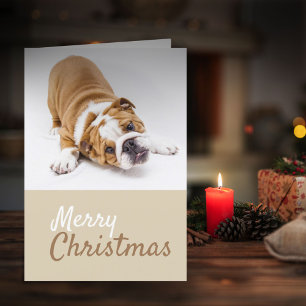 Cartão De Festividades Fotos de Filhotes de Bulldog Inglês no Natal Perso