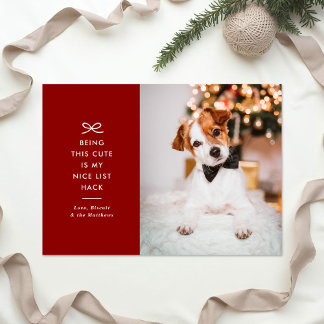 Cartão De Festividades Fotos de Natal de Animais de Estimação com Arco Mi