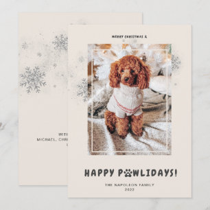 Cartão De Festividades Fotos de Natal Fofo Feliz PAWlidays Animais de Est