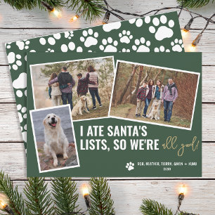 Cartão De Festividades Fotos Engraçadas de Cachorro Foto de Natal Persona