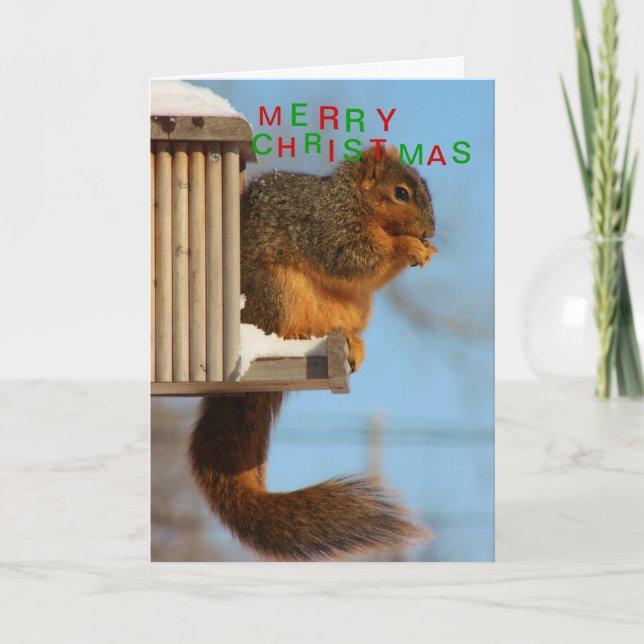 Cartão De Festividades Fox Tail Squirrel close up (Frente)