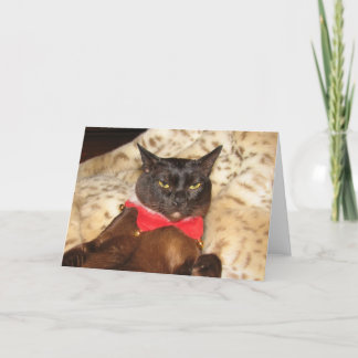 Cartão De Festividades FPG Xmas Burmese 1 (blank)