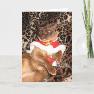 Cartão De Festividades FPG Xmas Burmese 2 -