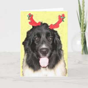 Cartão De Festividades FPG Xmas Newfie