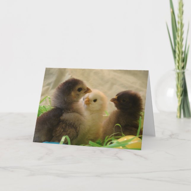 Cartão De Festividades Frangos de Páscoa (Frente)