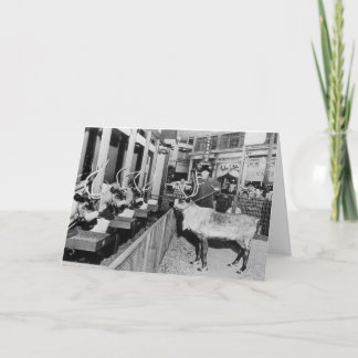 Cartão De Festividades Frederick & Nelson Christmas Window