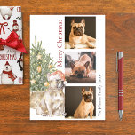 Cartão De Festividades French Bulldog and Christmas Tree Pet Dog Photo<br><div class="desc">This beautiful French Bulldog themed Christmas card features a Frenchie wearing a Santa hat sitting in front of a lit Christmas tree. The greeting on the card reads "Merry Christmas" and can be personalized. Further personalize this holiday card with three photos of your pet dog, a signature and the year....</div>