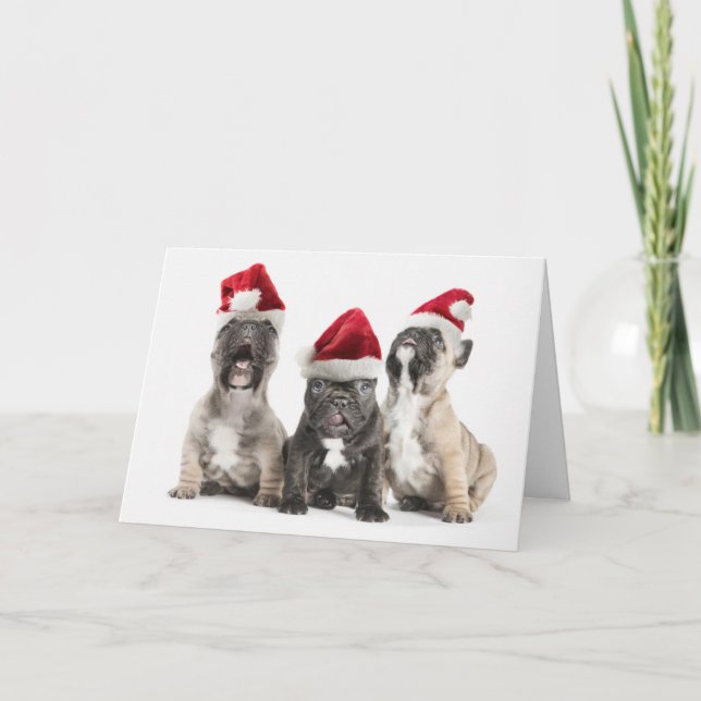 Cartão De Festividades French bulldog puppies sing wearing Santa hats (Frente)