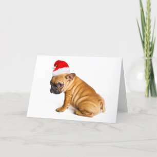 Cartão De Festividades French bulldog puppy wearing a Santa Claus hat