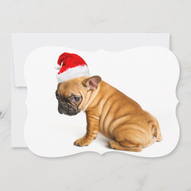 Cartão De Festividades French bulldog puppy wearing a Santa Claus hat (Frente)