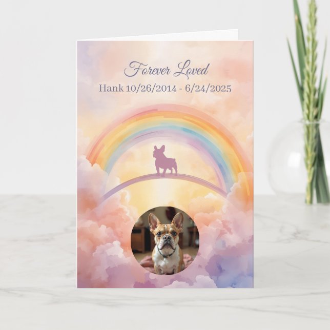 Cartão De Festividades French Bulldog Rainbow Bridge Pet Loss Sympathy (Frente)