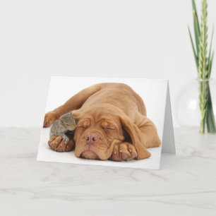 Cartão De Festividades French Mastiff puppy with squirrel