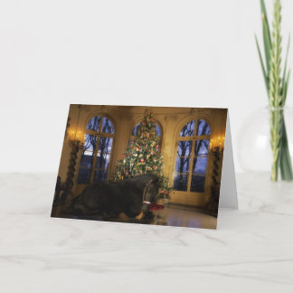 Cartão De Festividades Friesian Mare Christmas Card
