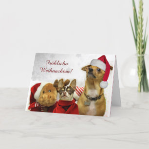 Cartão De Festividades Fröhliche Weihnachten Chihuahuas (cartão de visi