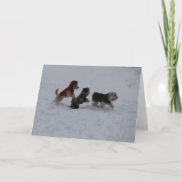 Cartão De Festividades Frolicking Friends Holiday Greetings