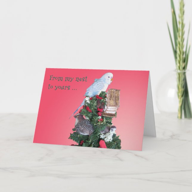 Cartão De Festividades From My Nest (Frente)