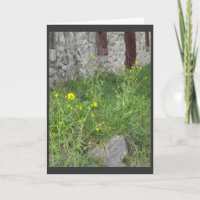 ..from the parent.. 3