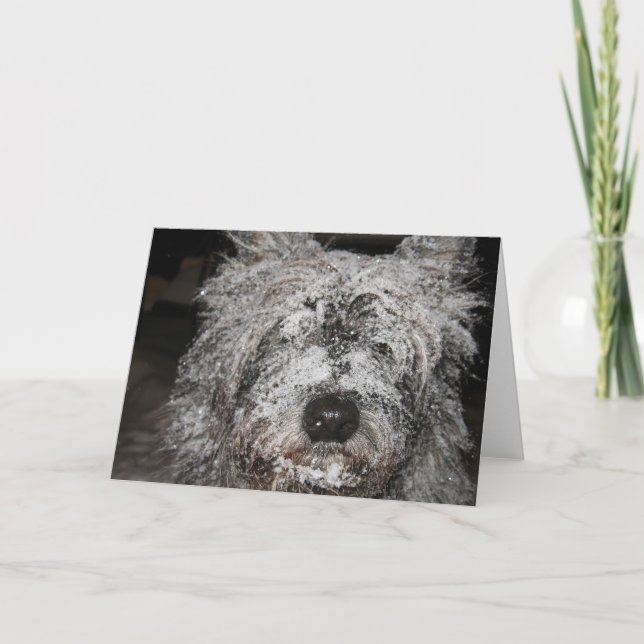 Cartão De Festividades Frosted Cairn (Frente)