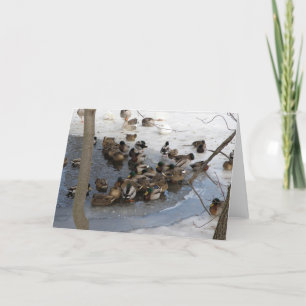 Cartão De Festividades Frozen Pond with Ducks