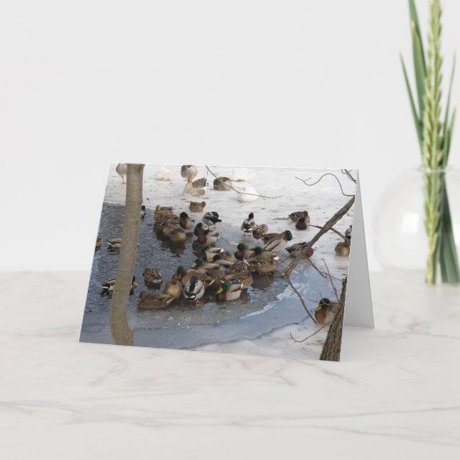 Cartão De Festividades Frozen Pond with Ducks (Frente)