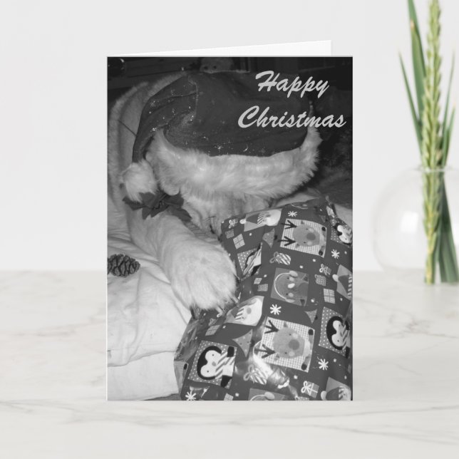 Cartão De Festividades funny akita dog with christmas gift christmas (Frente)