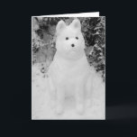 Cartão De Festividades funny akita snow dog snowman christmas<br><div class="desc">This funny looking snow akita snowman was built just after Christmas in the thick December snow. The snow akita has a funny expression on his face, but… I think anyone would look like he does if they’d been sitting in the cold snow for hours. This funny akita photo makes a...</div>