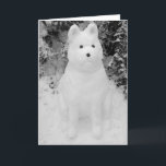 Cartão De Festividades funny akita snow dog snowman christmas<br><div class="desc">This funny looking snow akita snowman was built just after Christmas in the thick December snow. The snow akita has a funny expression on his face, but… I think anyone would look like he does if they’d been sitting in the cold snow for hours. This funny akita photo makes a...</div>