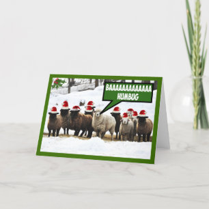 Cartão De Festividades Funny Bah Humbug
