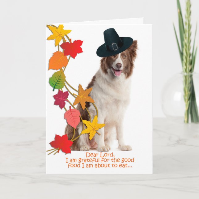 Cartão De Festividades Funny Border Collie Thanksgiving Card (Frente)