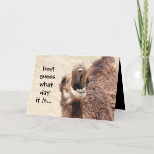 Cartão De Festividades Funny Camel Hump Day Valentine Card