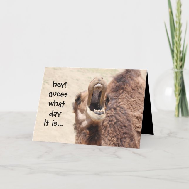 Cartão De Festividades Funny Camel Hump Day Valentine Card (Frente)