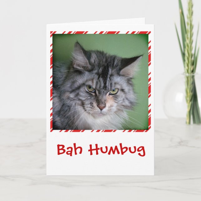 Cartão De Festividades Funny Cat Christmas greeting card (Frente)