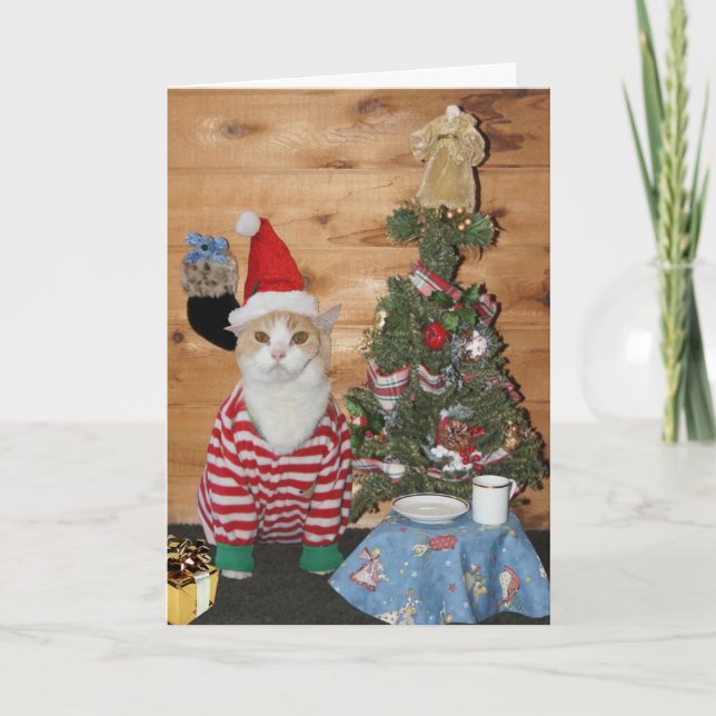 Cartão De Festividades Funny Cat/Kitty Christmas Morning (Frente)