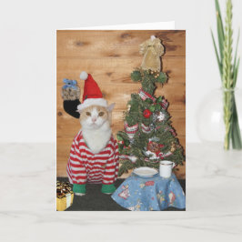 Cartão De Festividades Funny Cat/Kitty Christmas Morning