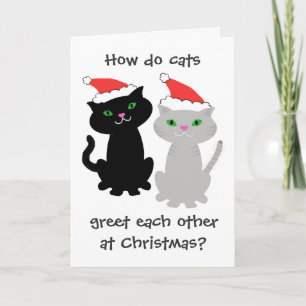 Cartão De Festividades Funny Cats Christmas Card