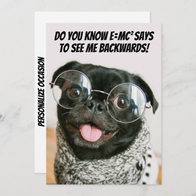 Cartão De Festividades Funny Chinese Pug Cute Puppy Dog Animal Theory  (Frente/Verso)