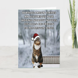 Cartão De Festividades Funny Christmas cat
