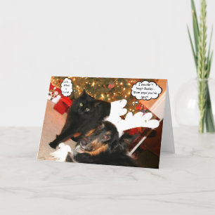 Cartão De Festividades Funny Collie & Black Cat Christmas Card 2