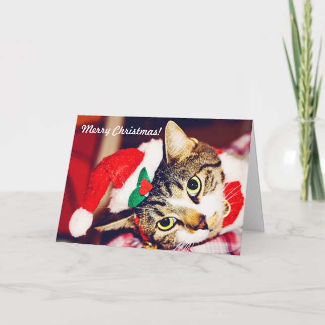 Cartão De Festividades Funny Custom Cat Lover Red Christmas Greeting Card (Frente)