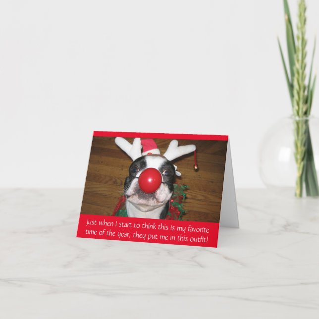 Cartão De Festividades Funny Dog in Rudolph Nose Christmas Holiday Card (Frente)