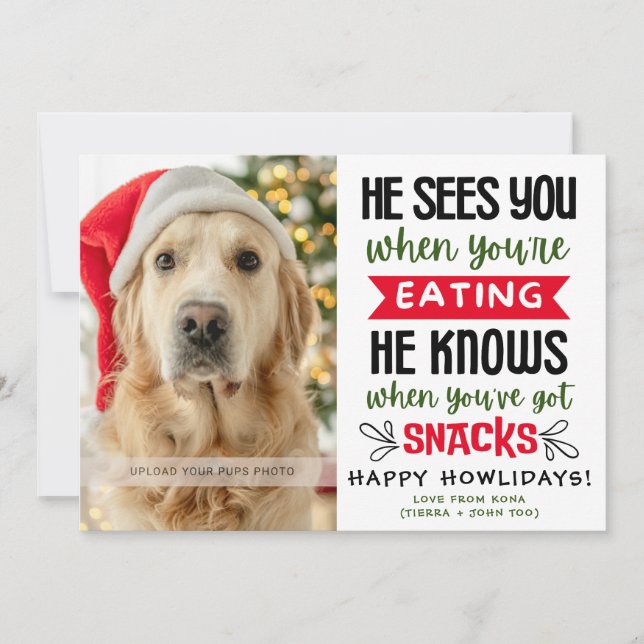 Cartão De Festividades Funny Dog Photo Christmas Picture Personalized (Frente)