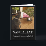 Cartão De Festividades Funny dog Santa hat Christmas greeting card<br><div class="desc">Perfect for people with a sense of humor about greeting cards and holidays.</div>