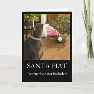 Cartão De Festividades Funny dog Santa hat Christmas greeting card