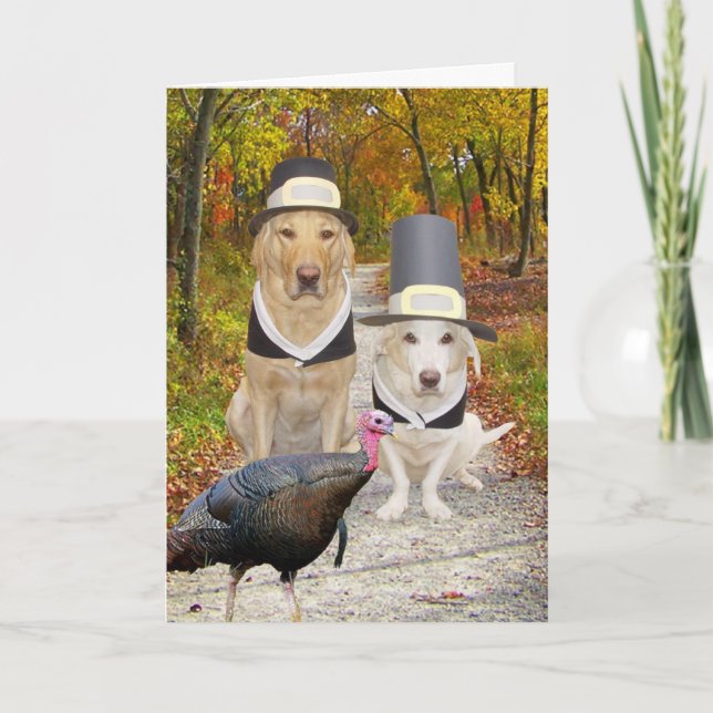 Cartão De Festividades Funny Dogs/Labs Thanksgiving (Frente)