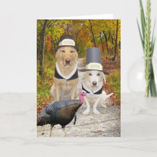 Cartão De Festividades Funny Dogs/Labs Thanksgiving