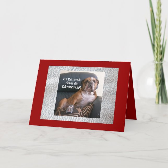 Cartão De Festividades Funny English bulldog Valentine's Day Card (Frente)