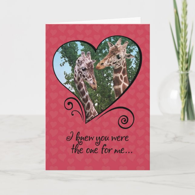 Cartão De Festividades Funny Giraffes Valentines Day Card (Frente)