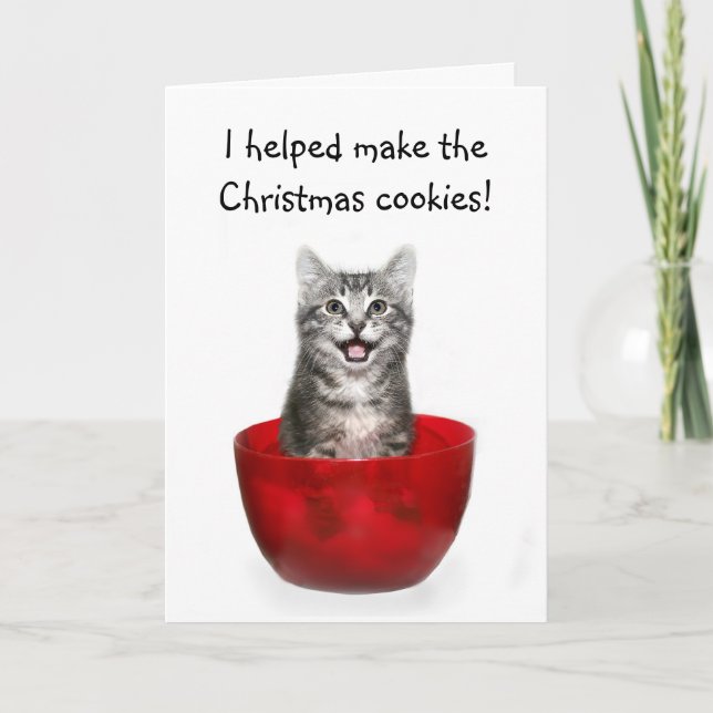 Cartão De Festividades Funny kitten Christmas card (Frente)