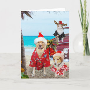 Cartão De Festividades Funny Lab/Cachorro e Cat Hawaiian/Surfer Natal